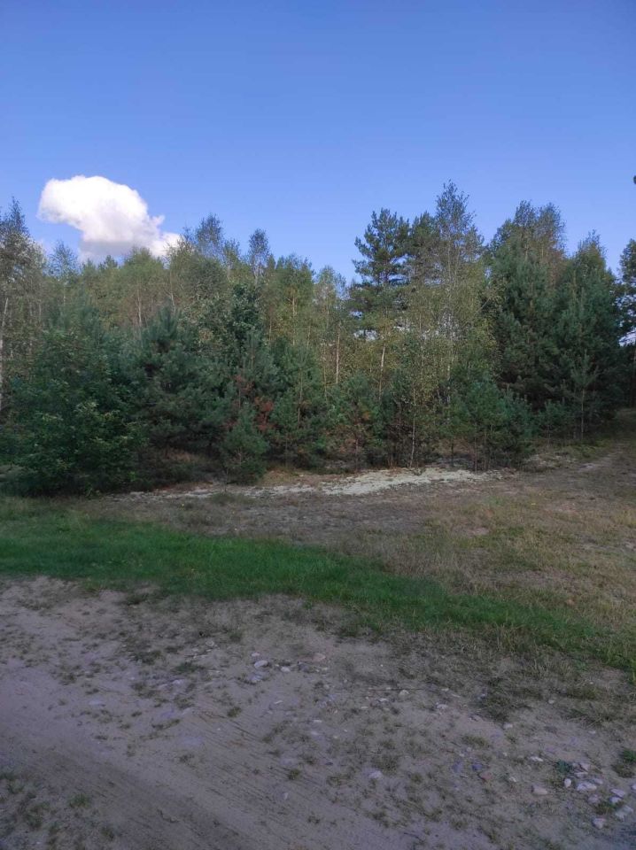 Działka rekreacyjna Konarzyny. Zdjęcie 3