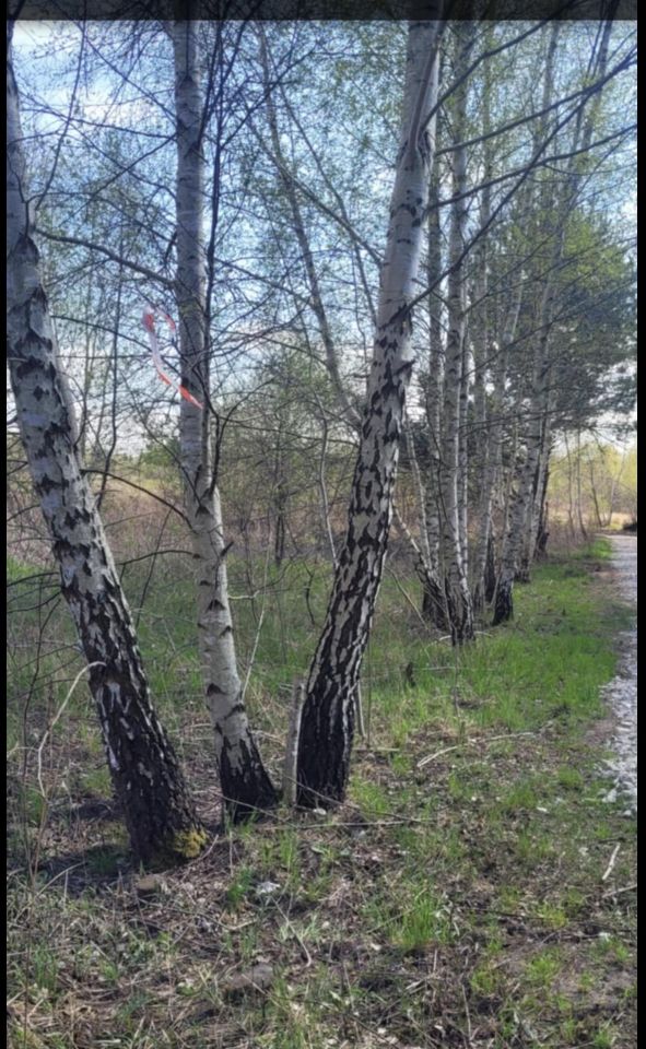 Działka rolno-budowlana Krze Duże, ul. Bursztynowa. Zdjęcie 2