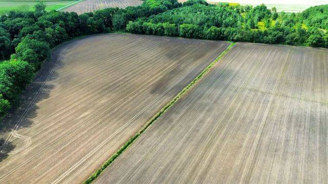 Działka rolna Krasków. Zdjęcie 16