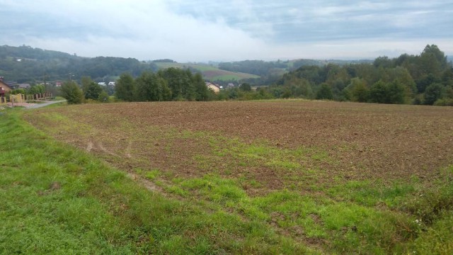 Działka rolna Wola Lubecka. Zdjęcie 1