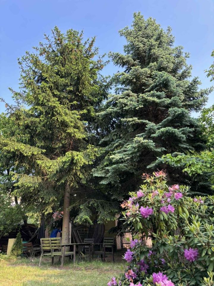 Działka rod Warszawa Bemowo. Zdjęcie 8