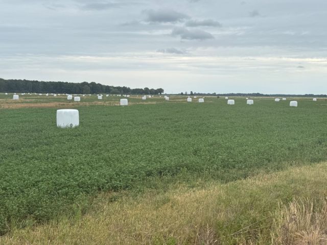 Działka rolna Krosno Odrzańskie. Zdjęcie 1