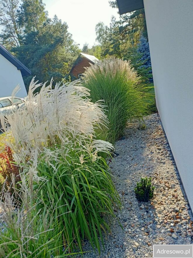 dom wolnostojący, 3 pokoje Łęg Przedmiejski, ul. Leśna. Zdjęcie 7