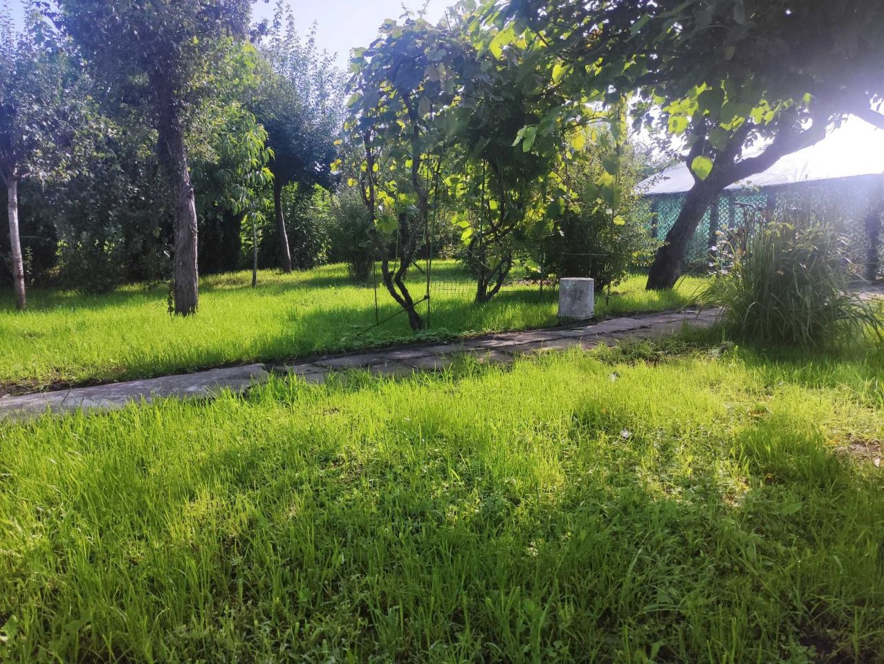 Działka rod Gorzów Wielkopolski Zakanale . Zdjęcie 6