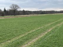 Działka budowlana Wilków, ul. Żyznowska. Zdjęcie 2