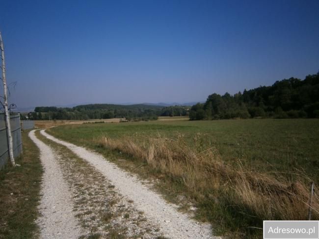 Działka rolno-budowlana Starkówek. Zdjęcie 4