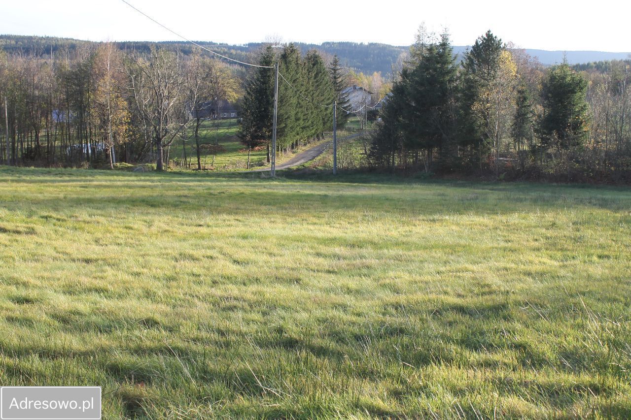 Działka rolna Antoniów. Zdjęcie 2