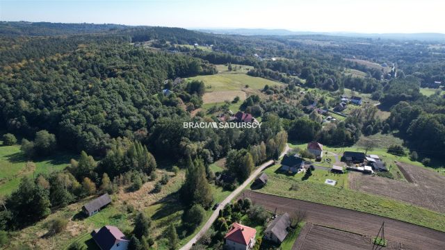 Działka rolna Poręba Żegoty. Zdjęcie 16