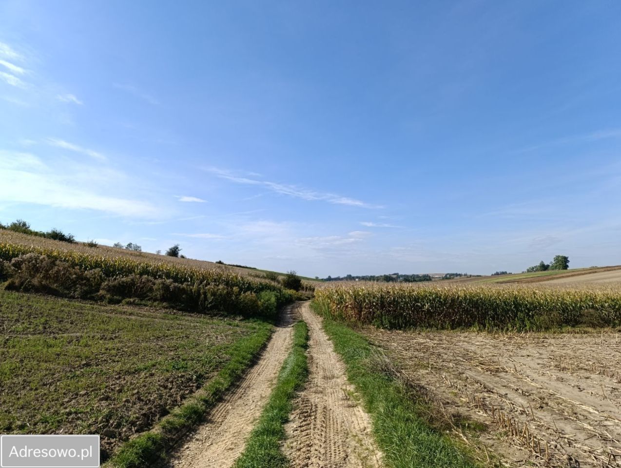 Działka rolna Lelowice. Zdjęcie 6