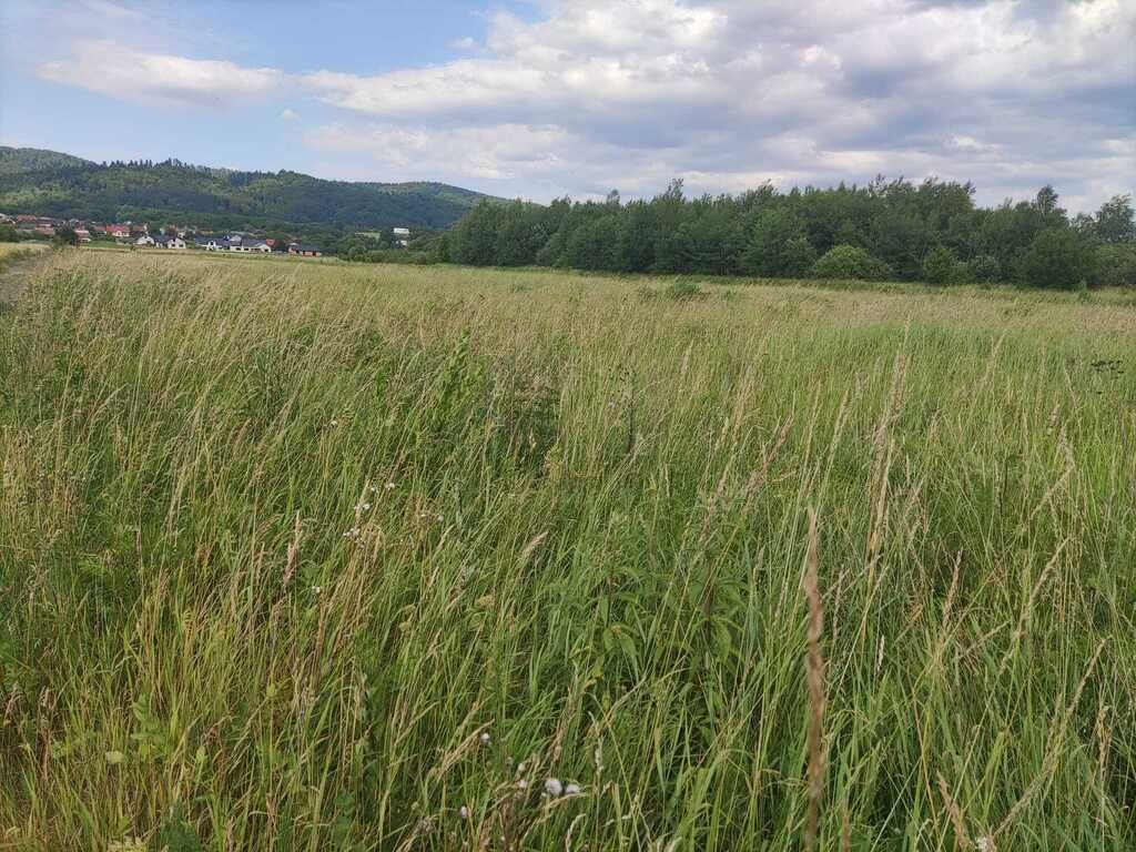 Działka Sanok Olchowce. Zdjęcie 2