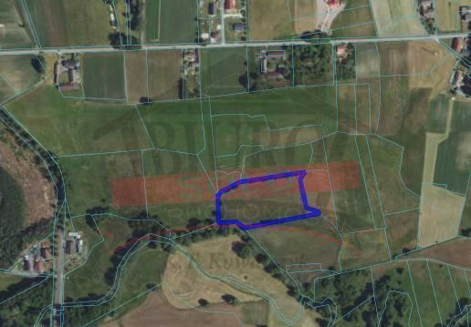 Działka rolna Biestrzynnik. Zdjęcie 2