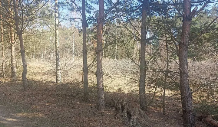 Działka budowlana Przeradowo