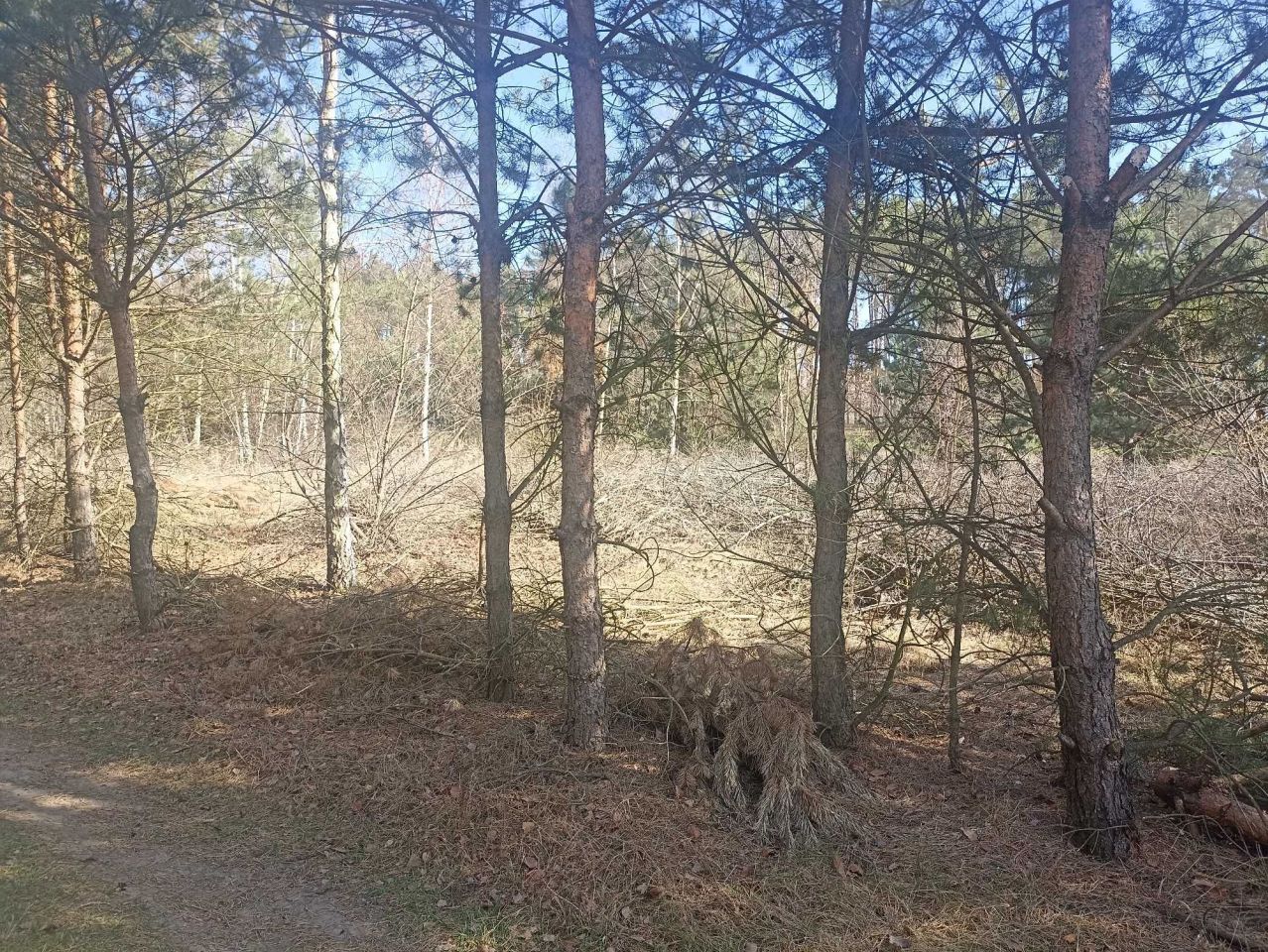 Działka budowlana Przeradowo. Zdjęcie 1