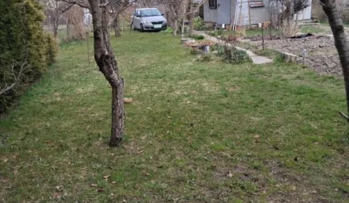 Działka rod Gdańsk Rębiechowo, ul. Nowatorów