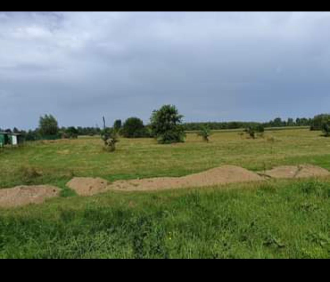 Działka budowlana Bielszczyzna. Zdjęcie 4