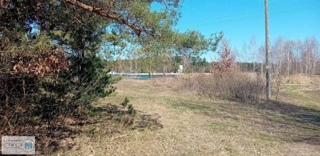 Działka leśna Morawica. Zdjęcie 6