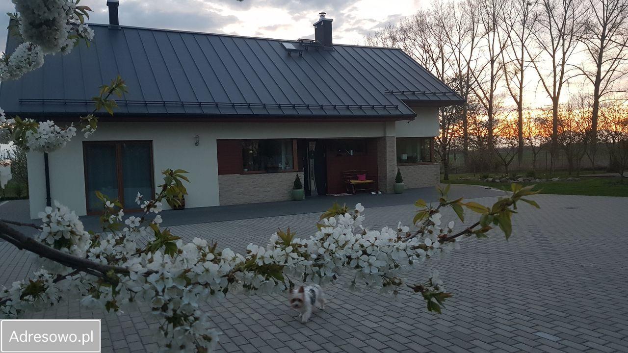 dom wolnostojący, 5 pokoi Darż