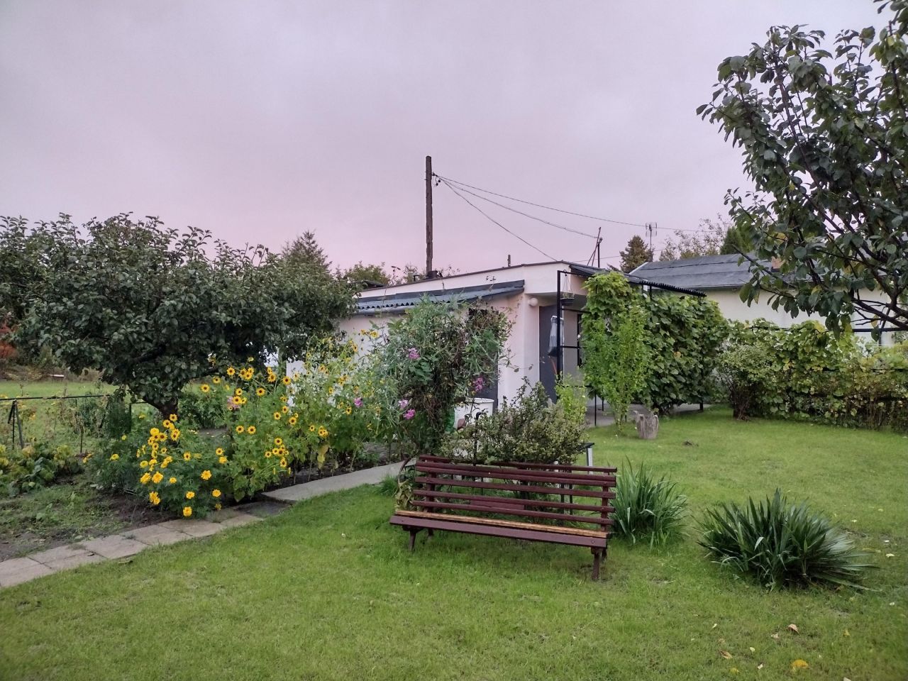 Działka rod Aleksandrów Kujawski Centrum, ul. Gabriela Narutowicza. Zdjęcie 2