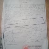 Działka rolna Stare Monasterzysko. Zdjęcie 1