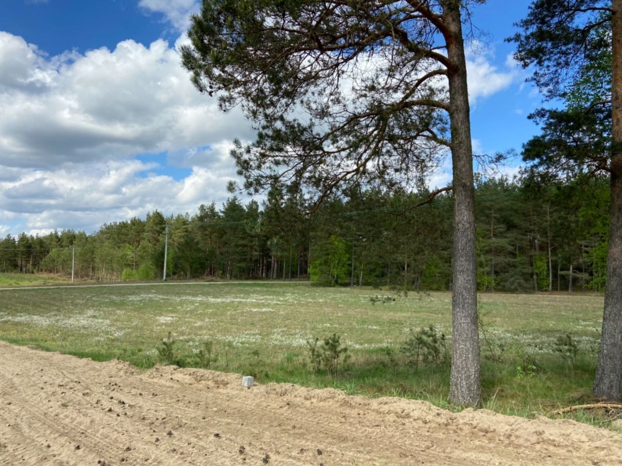 Działka siedliskowa Czarne. Zdjęcie 4