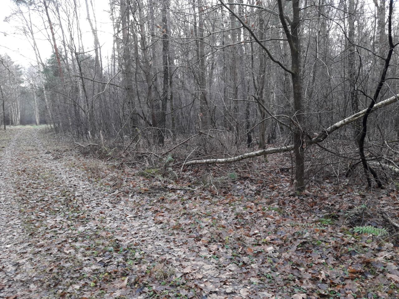 Działka inna Stare Załucze. Zdjęcie 21