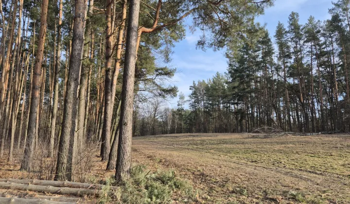 Działka budowlana Wólka, ul. Wiśniowa