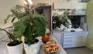 Lokal Kraków Stare Miasto, ul. Monte Cassino