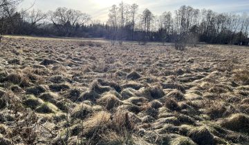 Działka rolno-budowlana Grębków, ul. Zachodnia
