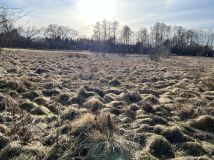 Działka rolno-budowlana Grębków, ul. Zachodnia. Zdjęcie 1