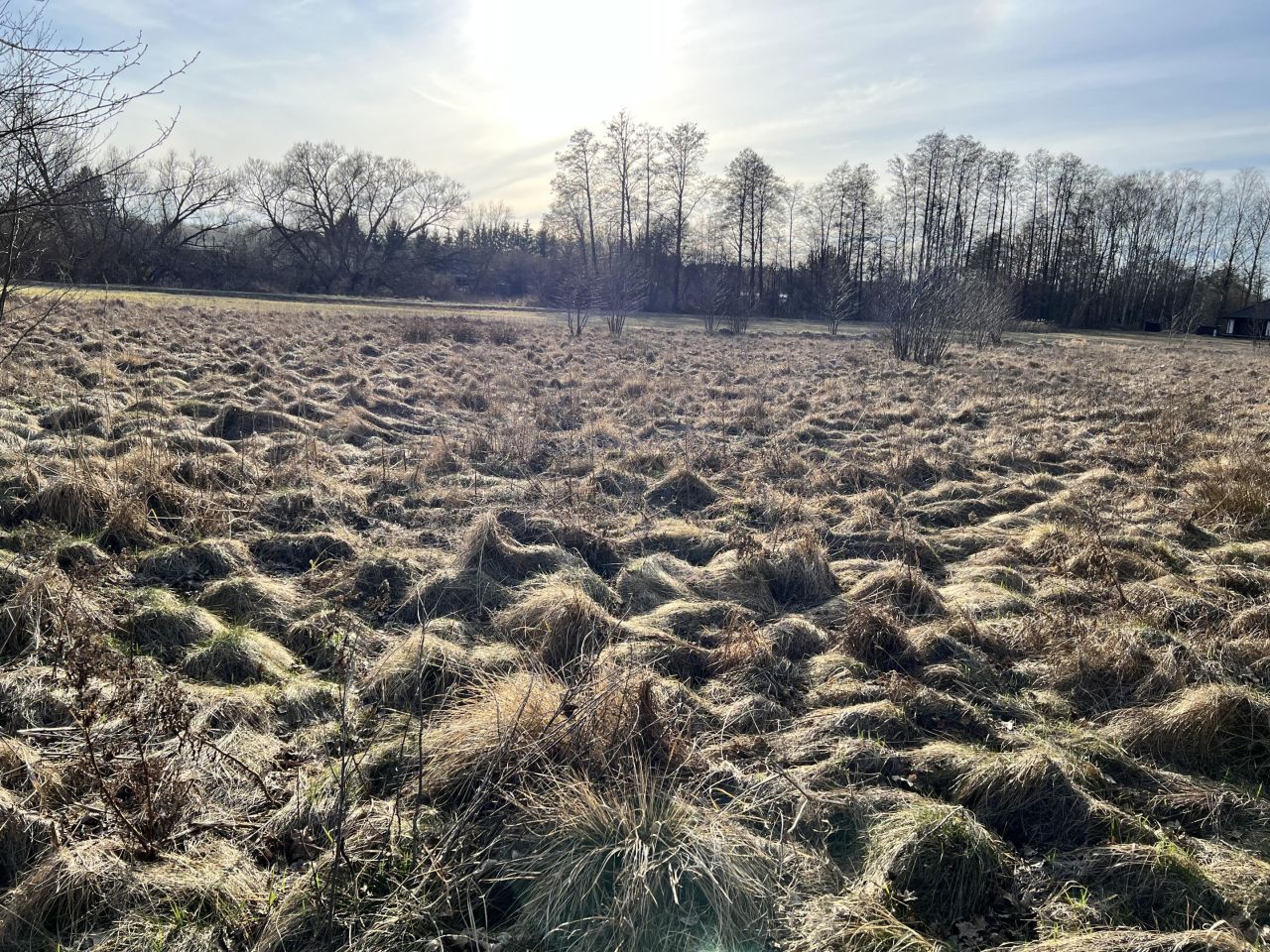 Działka rolno-budowlana Grębków, ul. Zachodnia. Zdjęcie 2