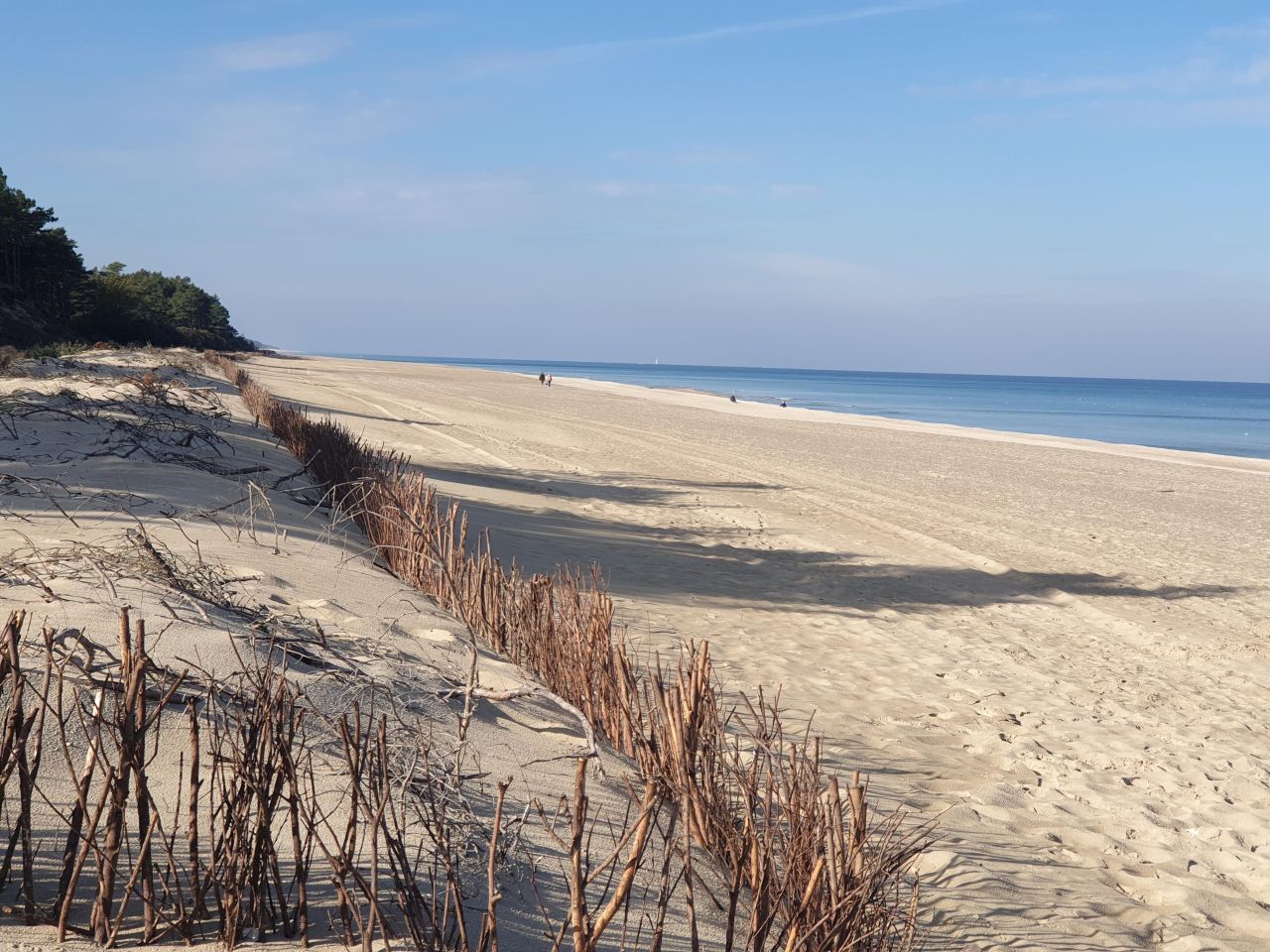 Działka rolna Ostrowo, ul. Obozowa. Zdjęcie 8
