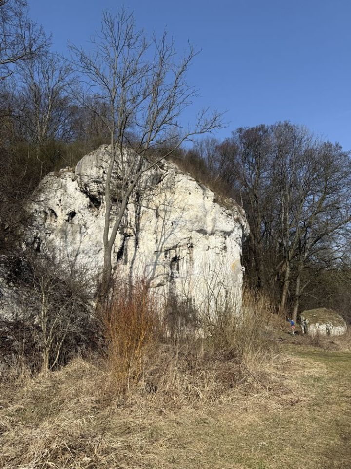 Działka rekreacyjna Częstochowa Mirów. Zdjęcie 2