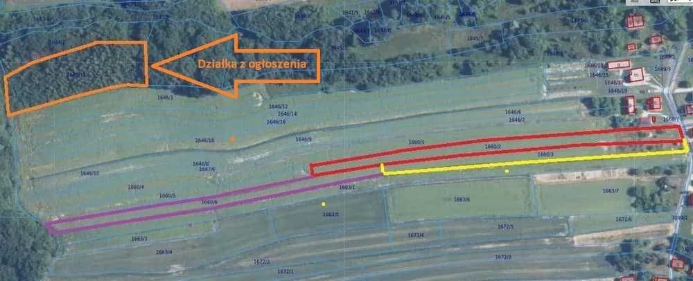 Działka leśna Rokietnica Wola. Zdjęcie 2