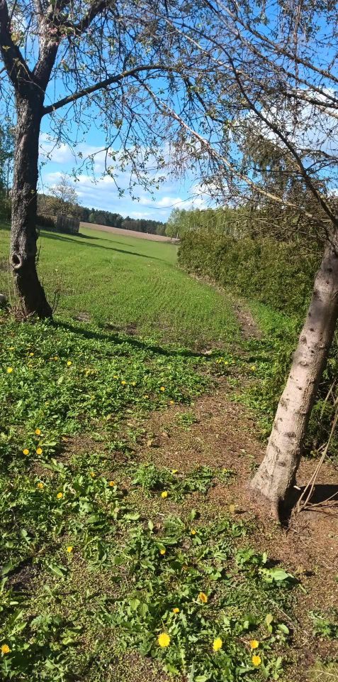 Działka budowlana Drawień. Zdjęcie 5