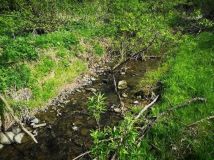 Działka rolna Chyrowa. Zdjęcie 4