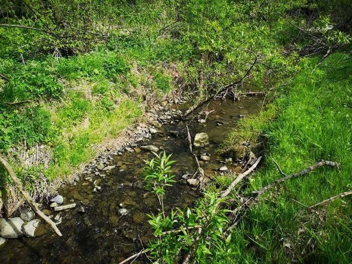 Działka rolna Chyrowa. Zdjęcie 5