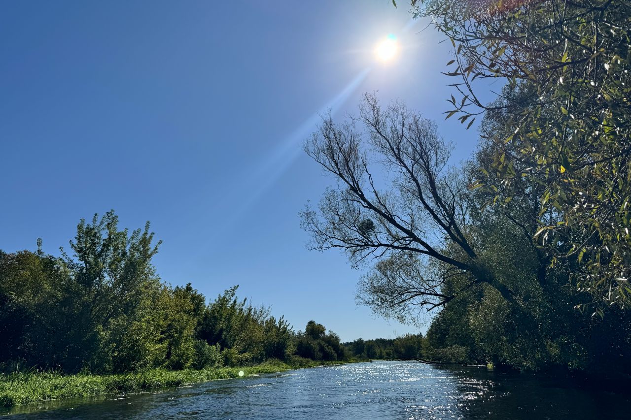 Działka budowlana Lelewo. Zdjęcie 9