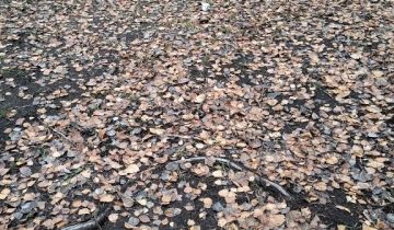 Działka inwestycyjna Katowice Dąb, ul. Gliwicka