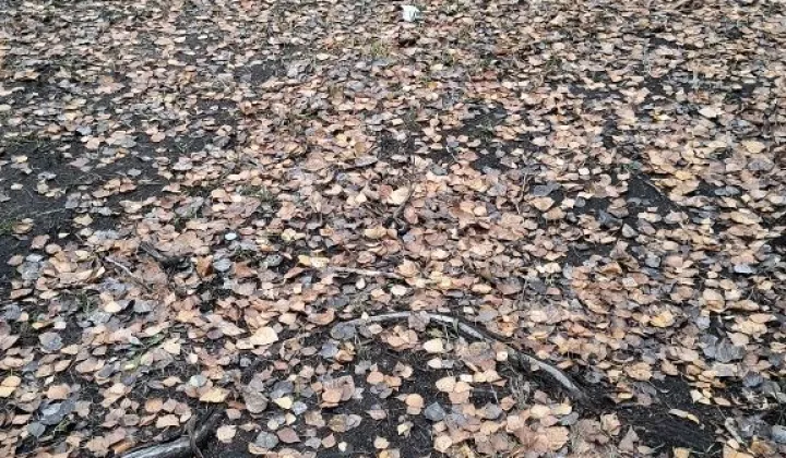 Działka inwestycyjna Katowice Dąb, ul. Gliwicka