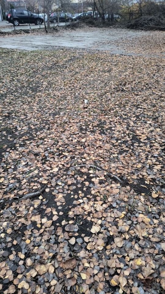 Działka inwestycyjna Katowice Dąb, ul. Gliwicka