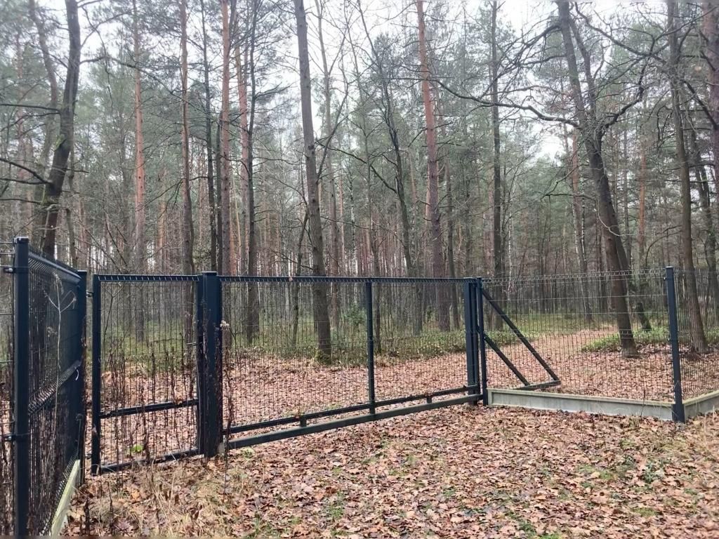 Działka leśna Osieck Kąciki, ul. Porannej Rosy. Zdjęcie 10