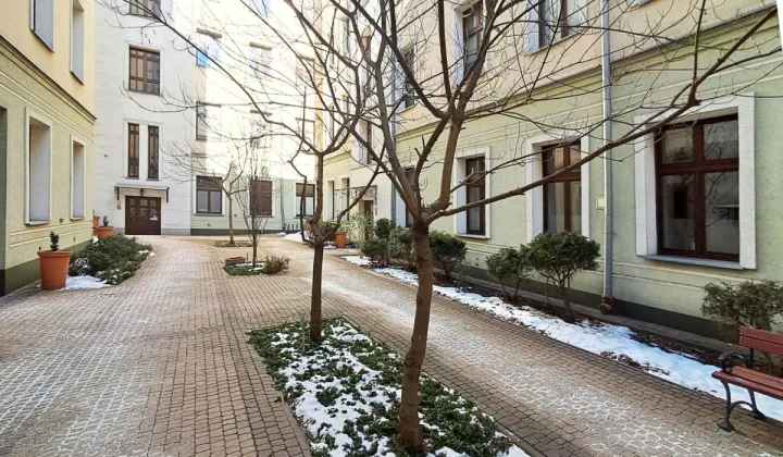 Lokal Łódź Śródmieście, ul. płk. dr. Stanisława Więckowskiego