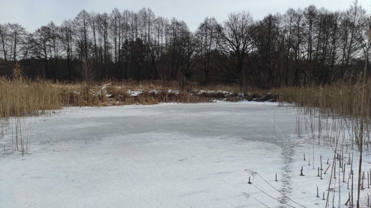 Działka budowlana Przesieki. Zdjęcie 3