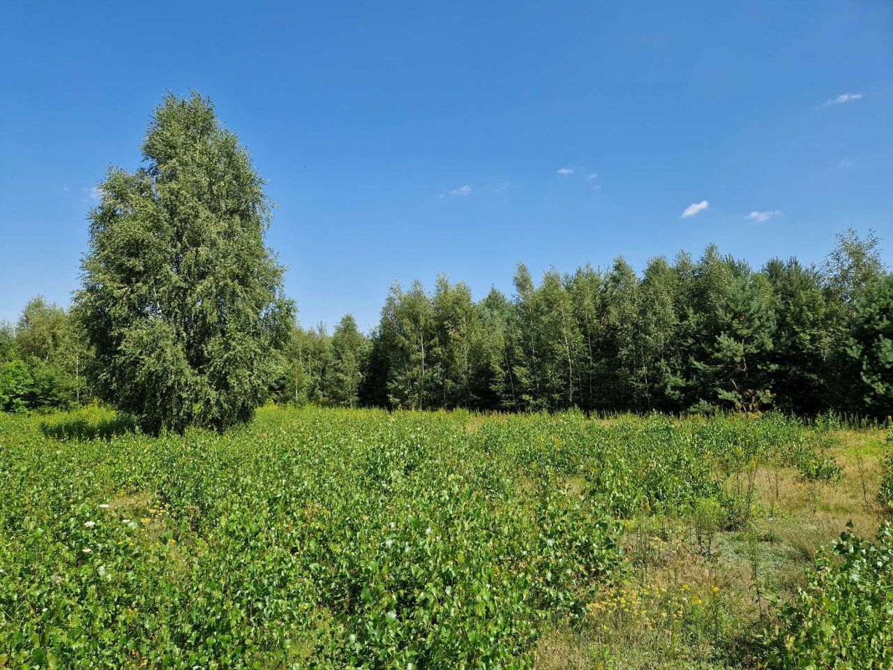 Działka budowlana Błędowo, ul. Słowiańska. Zdjęcie 7