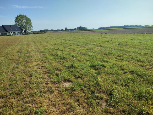 Działka rolna Wyrzyki. Zdjęcie 1