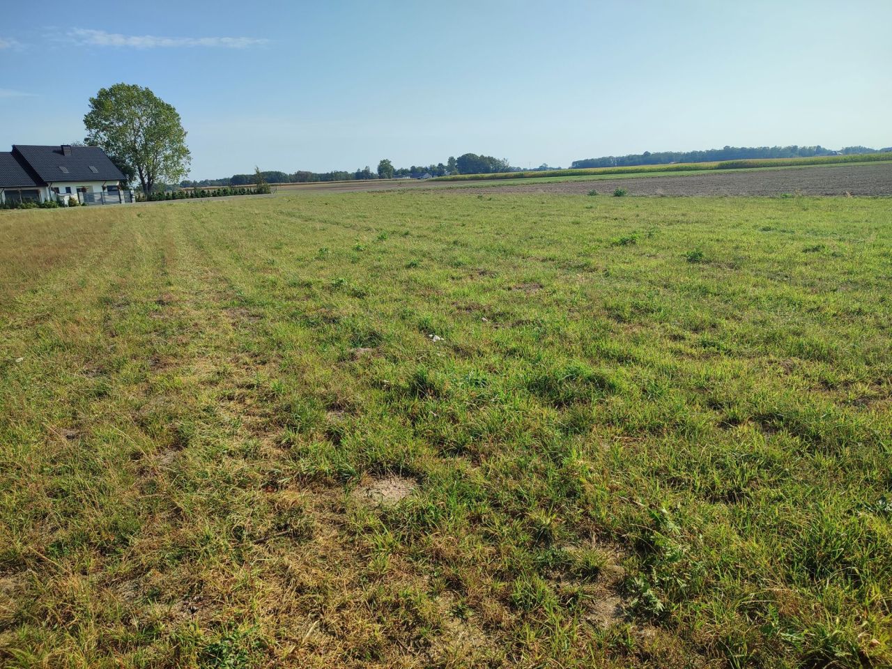 Działka rolna Wyrzyki. Zdjęcie 1