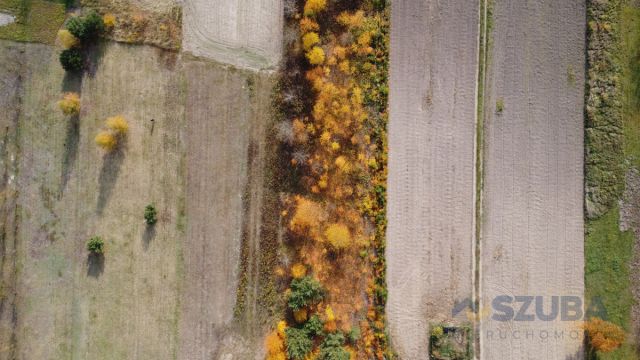 Działka budowlana Borzęcin Duży, ul. Chabrowa. Zdjęcie 10