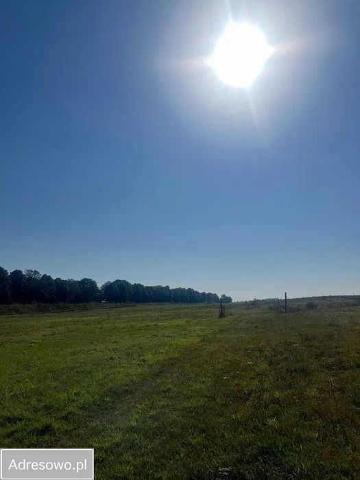 Działka budowlana Gąbin. Zdjęcie 5