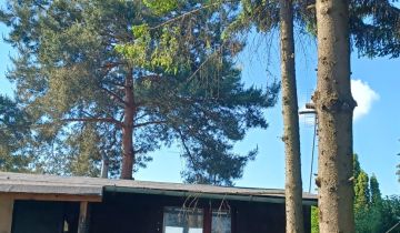 Działka rod Warszawa Targówek, ul. Lewinowska