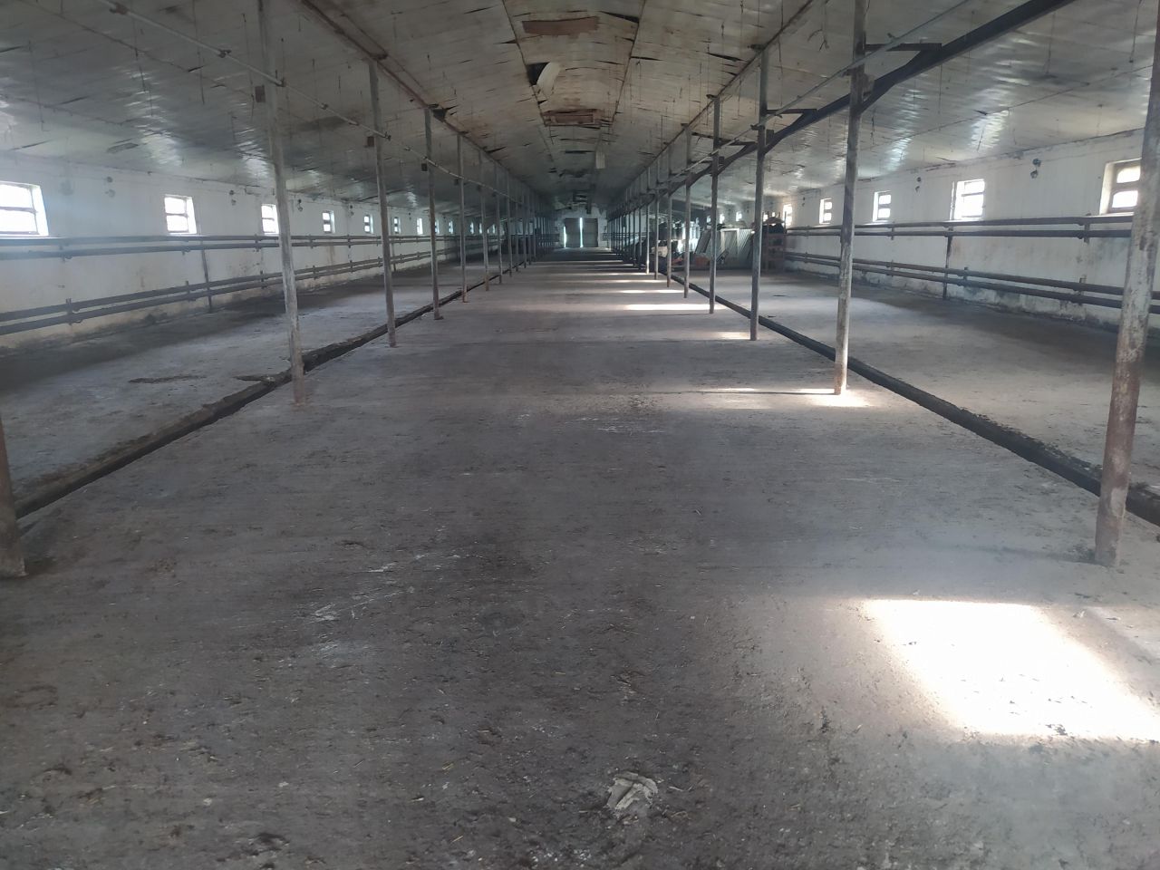 Działka inwestycyjna Posiadały. Zdjęcie 5